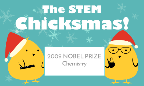 feature_The STEM Chicksmas Nobel Prize 2009 Chemistry