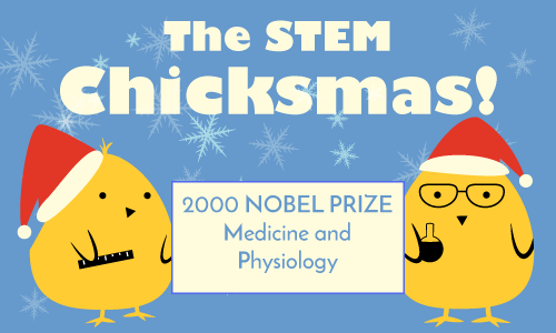 feature_The Stem Chicksmas Medicine or Physiology 2000