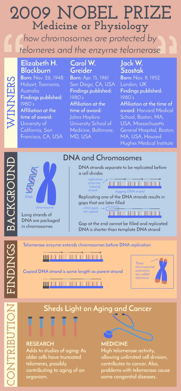 The STEM Chicksmas Nobel Prize 2009 Medicine or Physiology