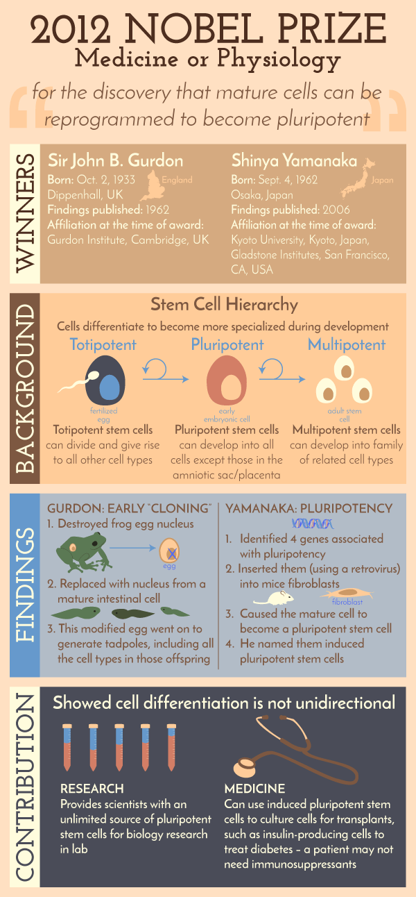 The STEM Chicksmas Nobel Prize 2012 Medicine and Physiology
