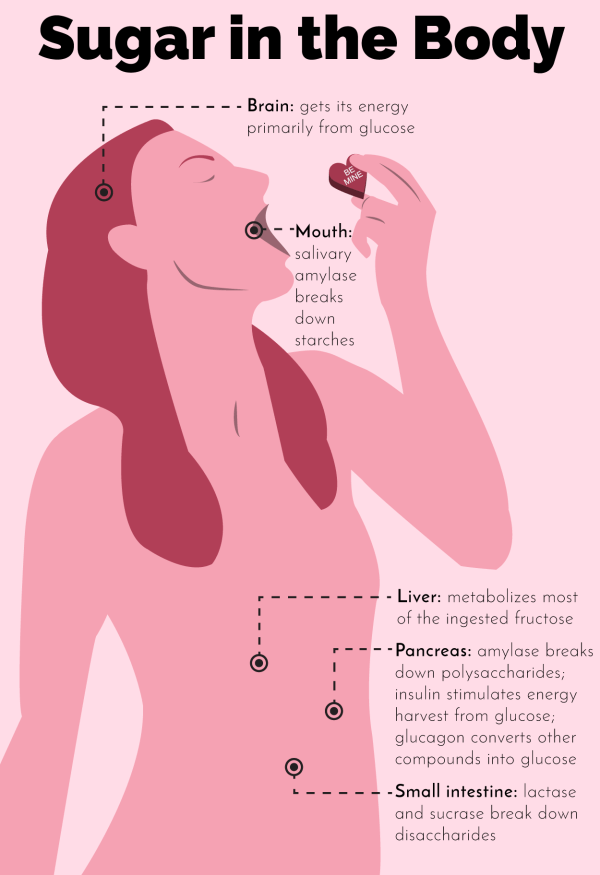 Sugar in the Body Valentines Day by The Stem Chicks